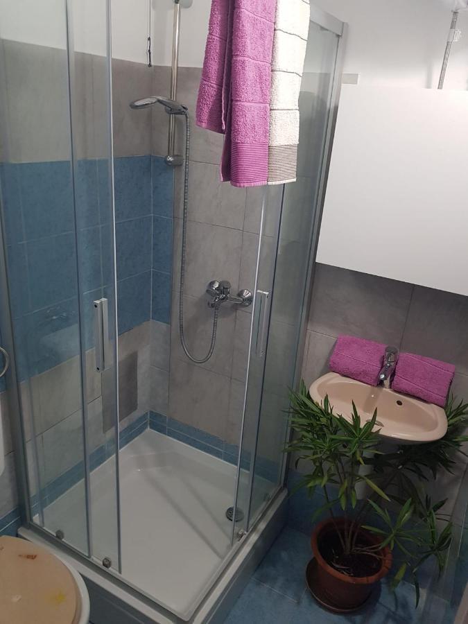 Apartment D Free Parking & Wifi, Walking Distance To Centrum 扎达尔 外观 照片