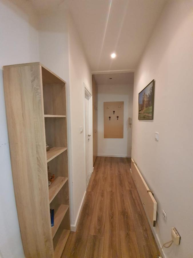 Apartment D Free Parking & Wifi, Walking Distance To Centrum 扎达尔 外观 照片
